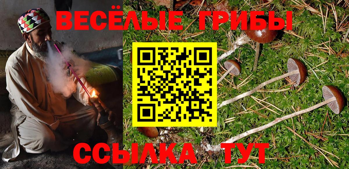 Галлюциногенные грибы Cubensis Борзя