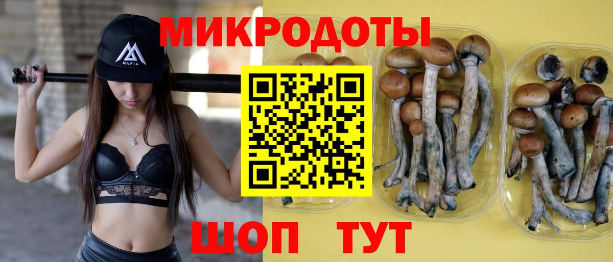 Галлюциногенные грибы мицелий  Вход с VPN  Борзя 